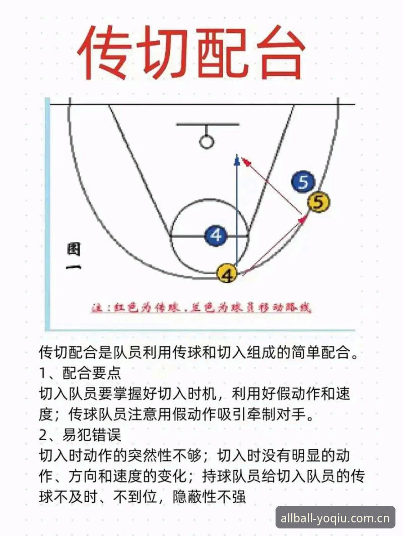 有球体育平台深度分析：从新手到高手的完整使用教程